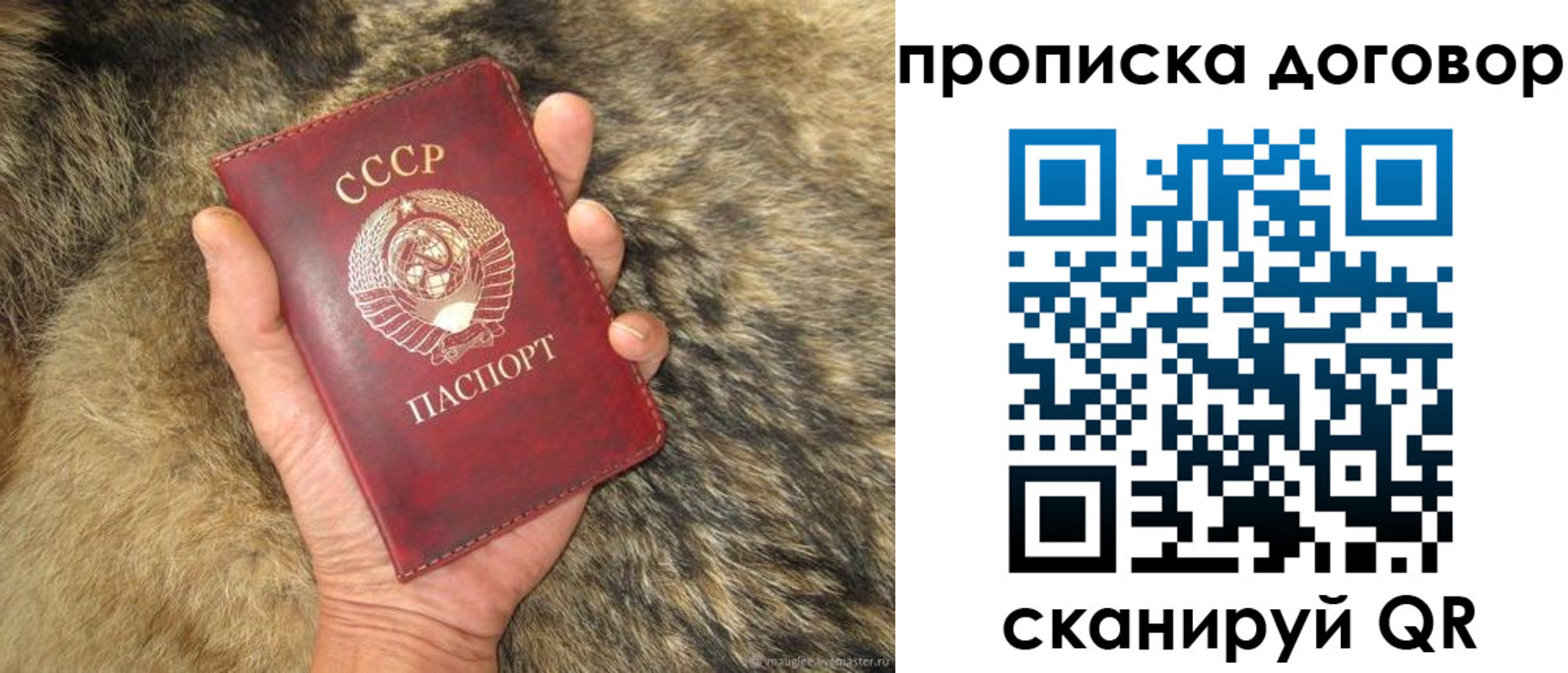 прописка регистрация в Палласовке