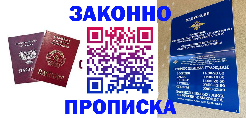прописка в Палласовке